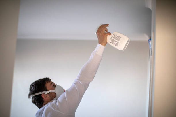 Attic Mold Removal